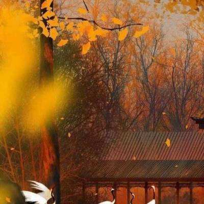 两名游客夜游鬼笑石后下山迷路，北京石景山消防紧急救援